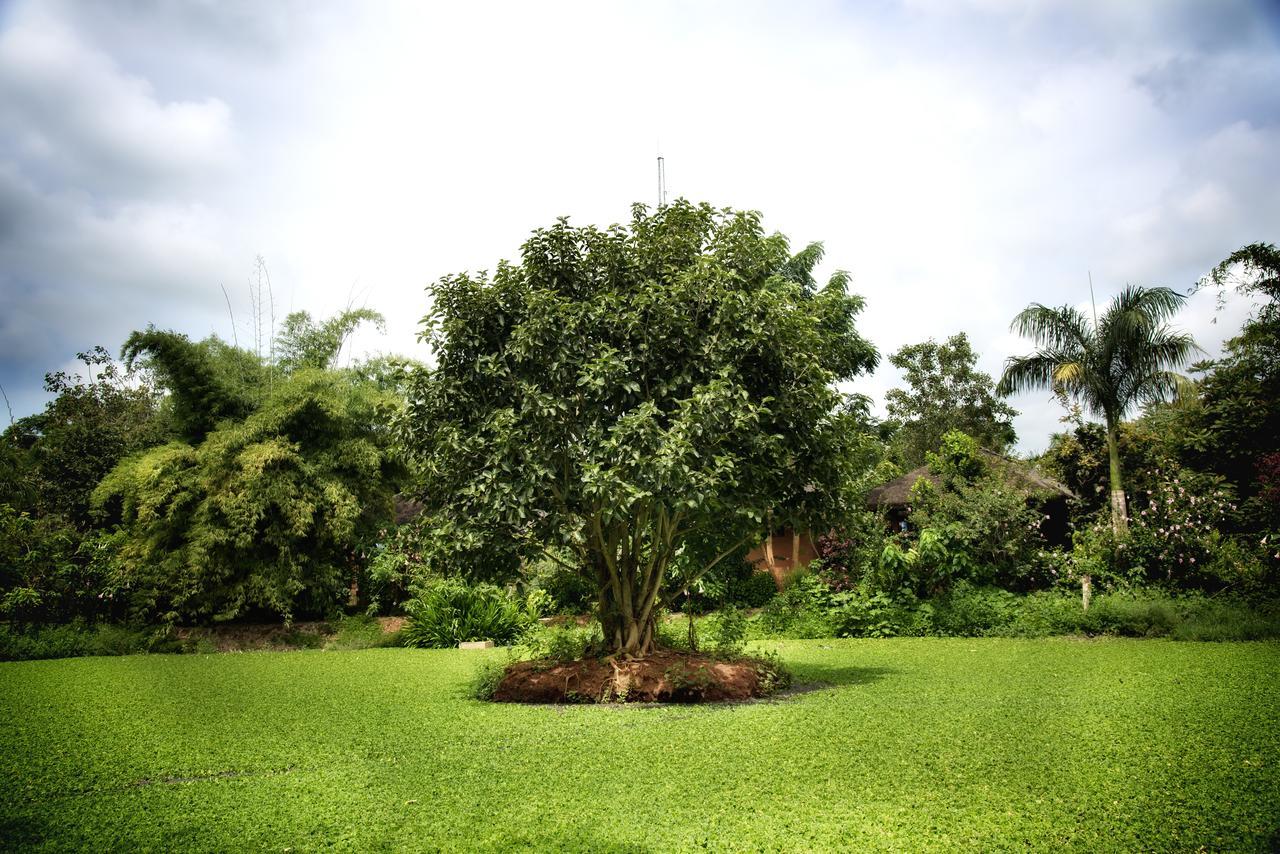 Red Earth Kabini Begūr Exterior foto